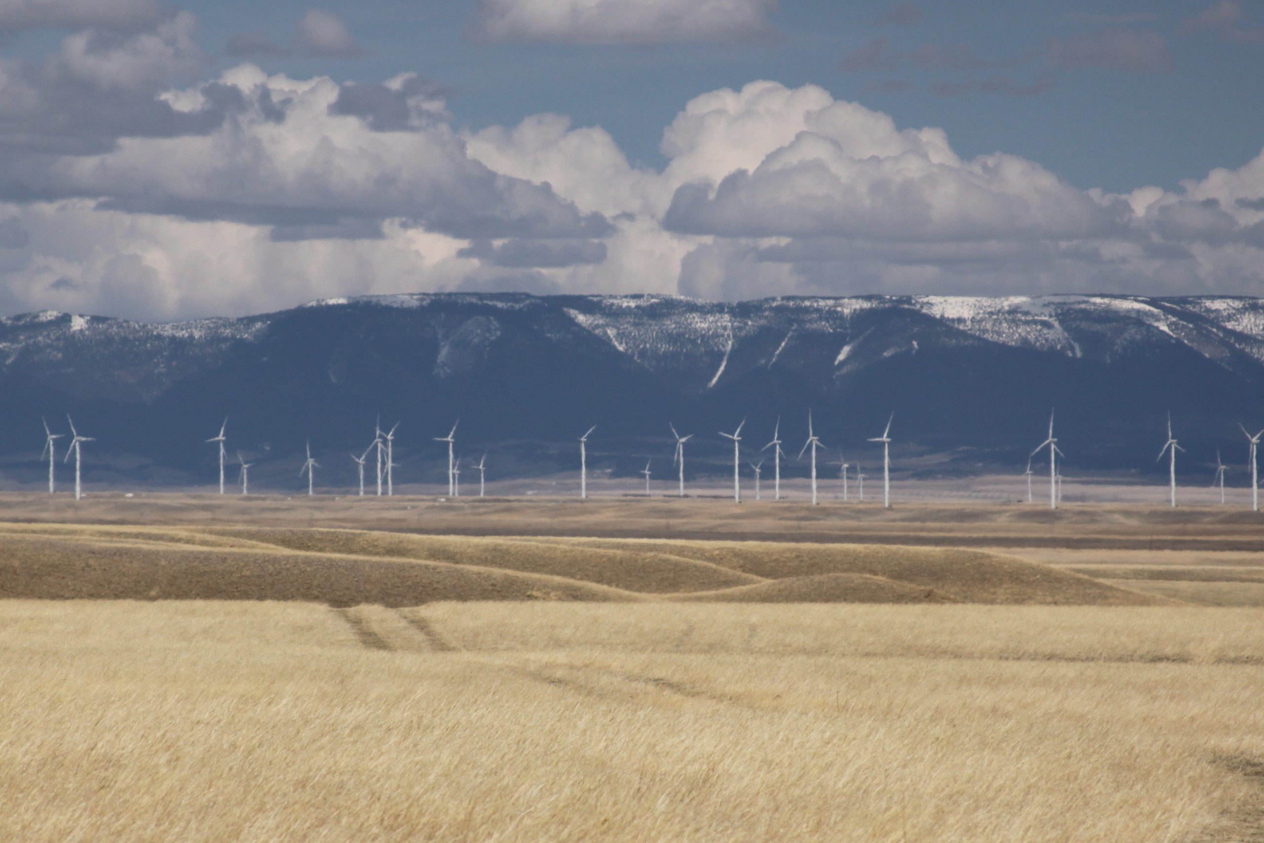 judith gap montana windmills